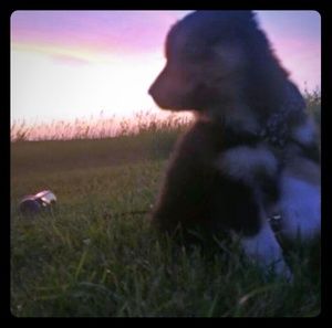 Meet your Posher, Alexandria